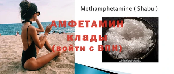 apvp Дмитриев