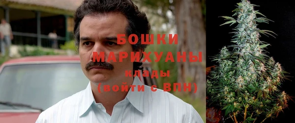 apvp Дмитриев