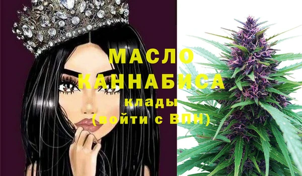 твердый Дмитровск