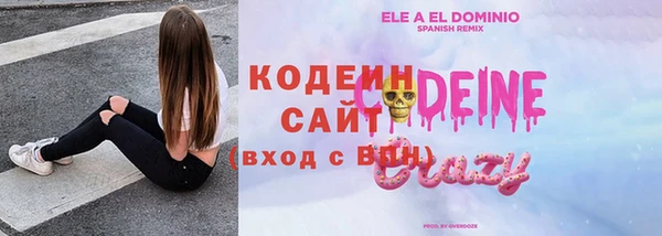 твердый Дмитровск