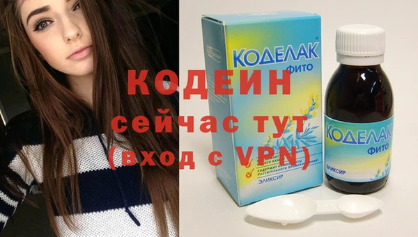 твердый Дмитровск