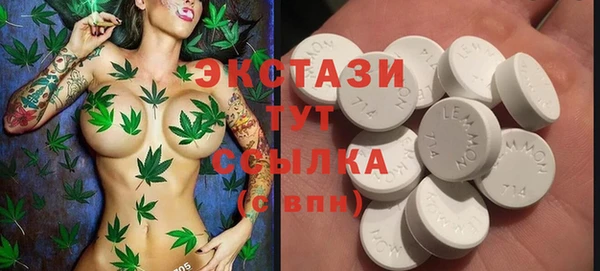 твердый Дмитровск