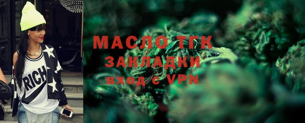 твердый Дмитровск