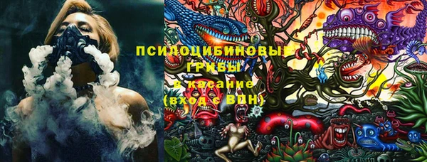 apvp Дмитриев