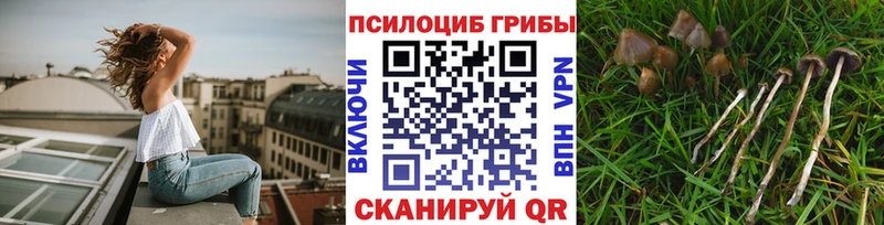 Галлюциногенные грибы мухоморы  как найти наркотики  Кимовск 