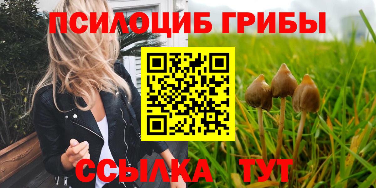 Псилоцибиновые грибы ЛСД Кимовск