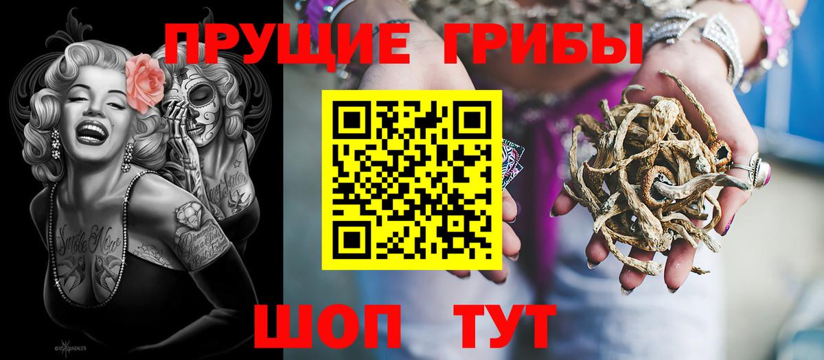 Кимовск  Псилоцибиновые грибы Cubensis  Вход с VPN 